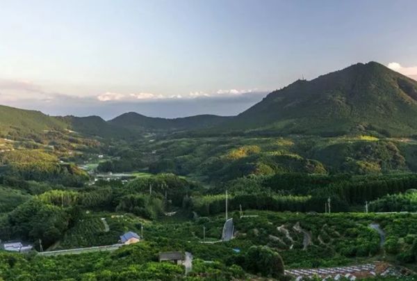 回歸鄉(xiāng)村，方知幸福 【輕鋼別墅】(圖2)