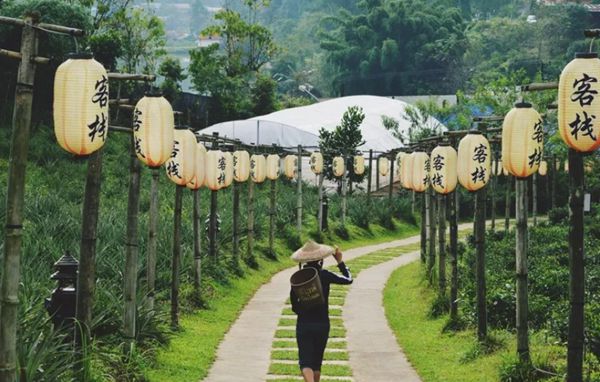 回歸鄉(xiāng)村，方知幸福 【輕鋼別墅】(圖6)