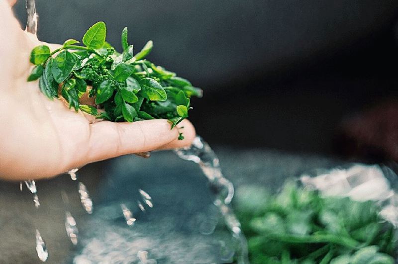 我能想到最浪漫的事情,就是和你回歸田園生活,一起變老!(圖14) 睿婕輕鋼別墅