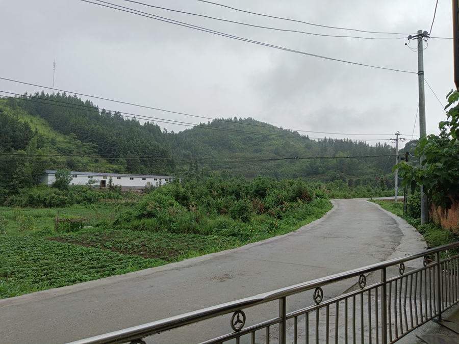 回歸自然，遠離塵囂：暢享寧靜農村生活