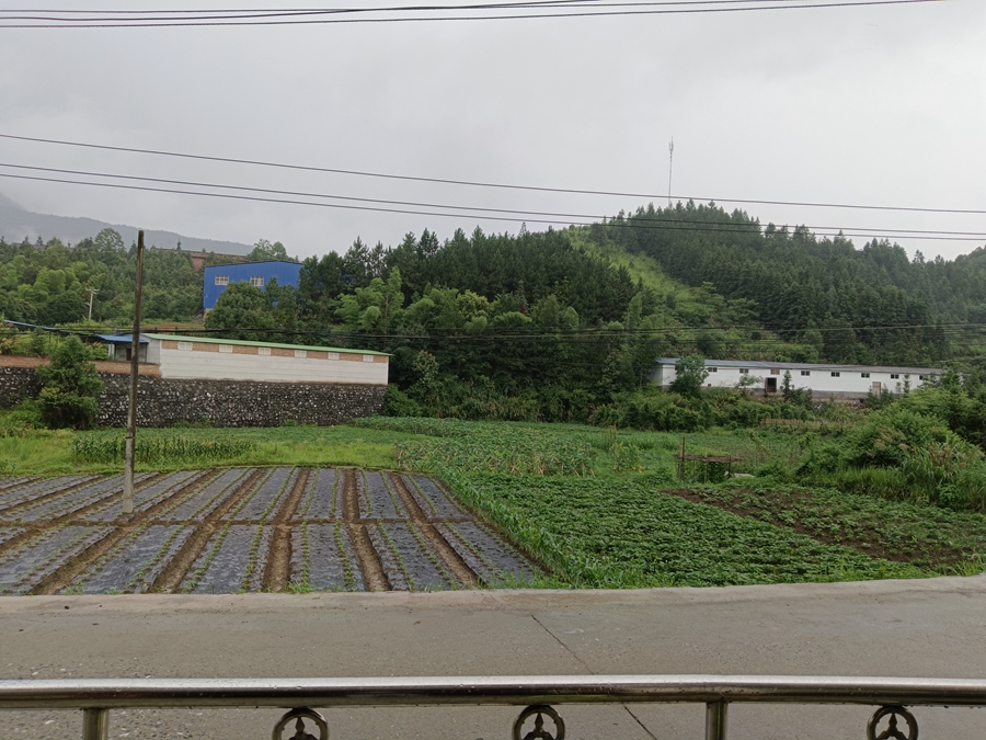 農村生活的傳統與文化：守望鄉村的智慧與傳承